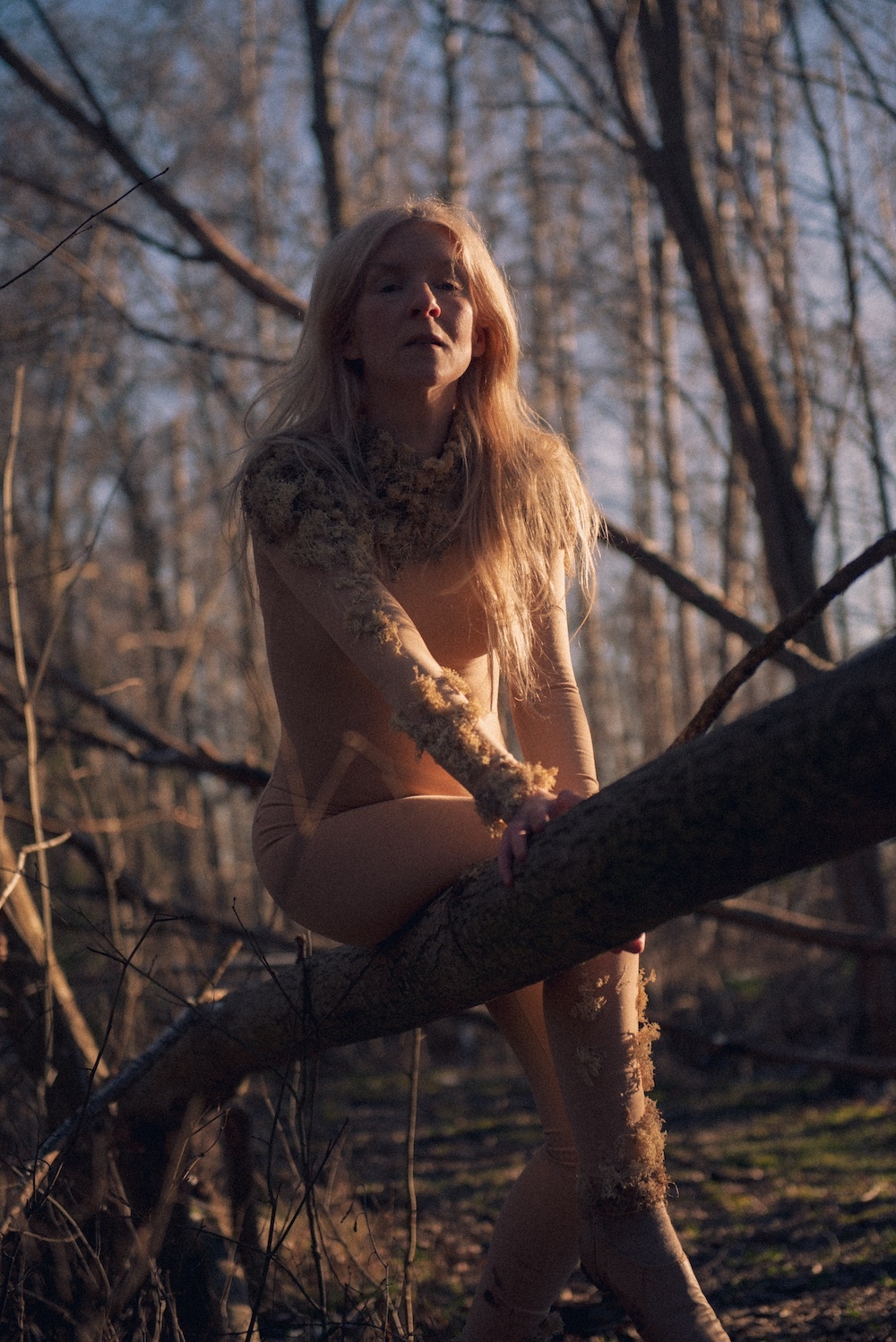 IL CYE PRESS 1 small photo credit John Strandh