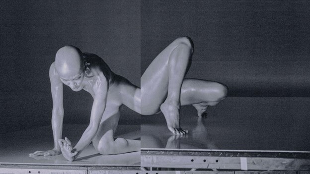 FKA Twigs