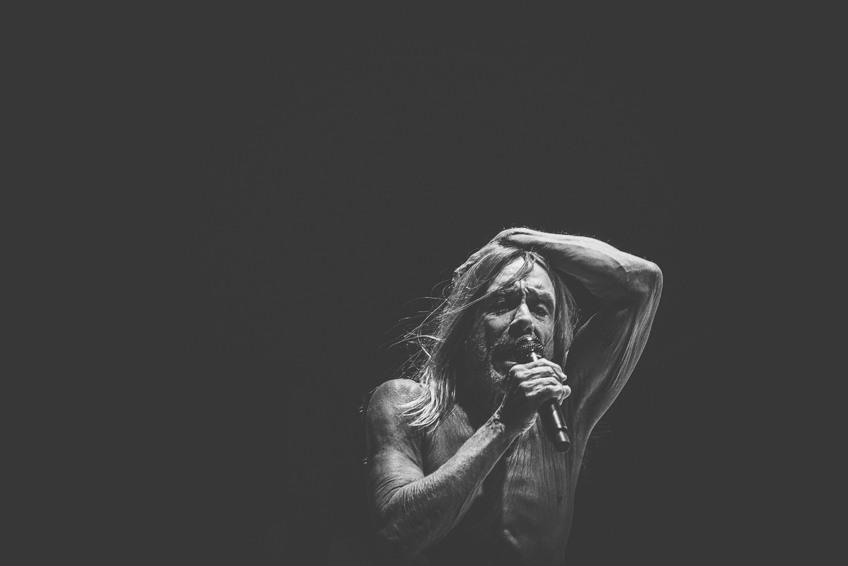 Iggy Pop Desert Daze Institute Of Mentalphysics Joshua Tree 10 13 15 17 Erika Reinsel 30