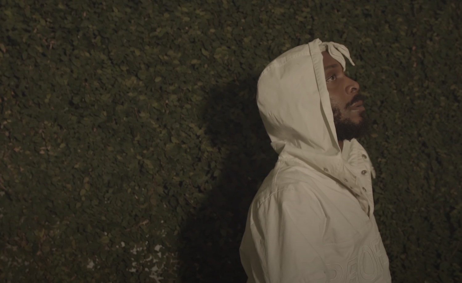 JPEGMAFIA last dance video