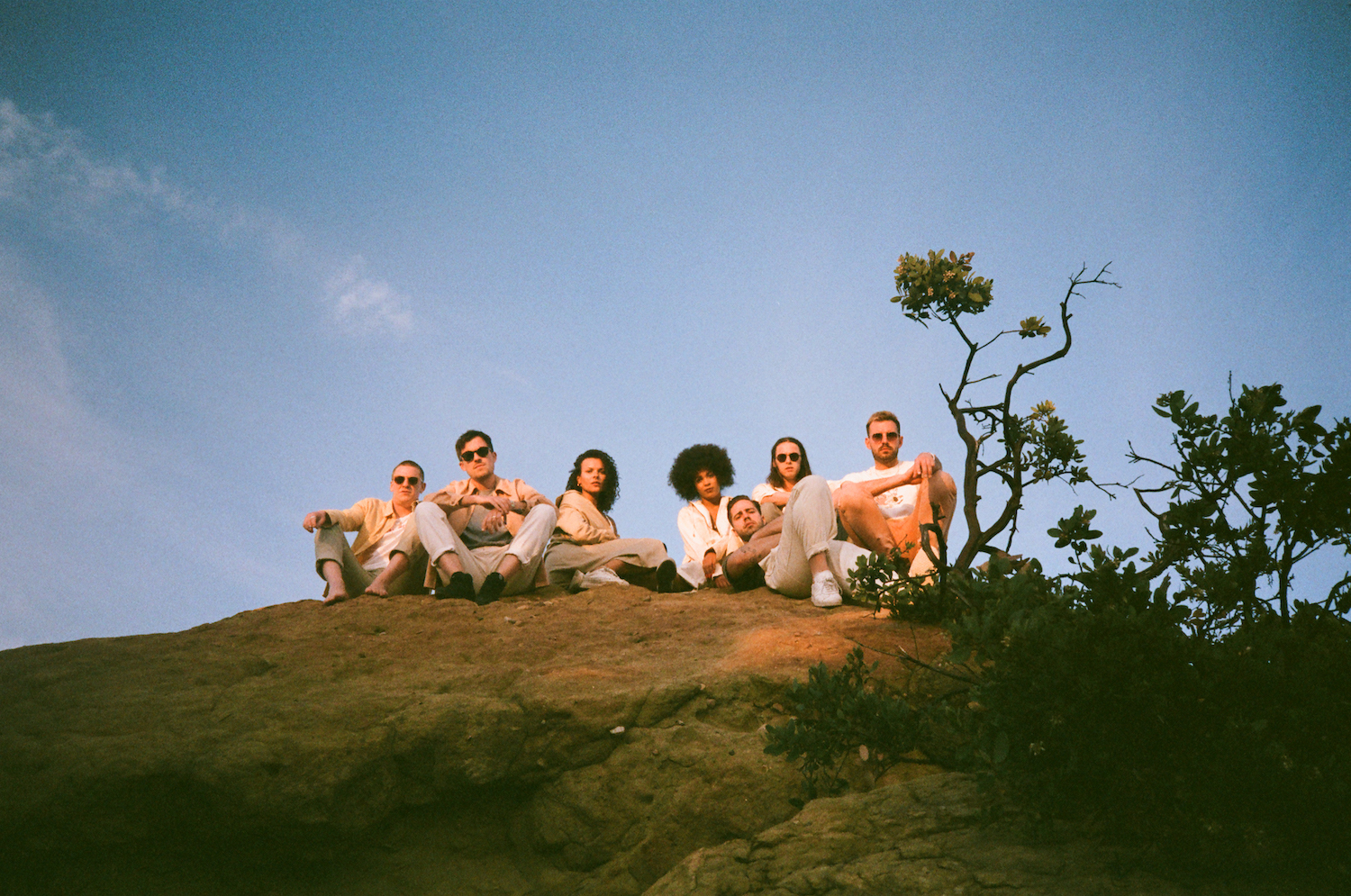JUNGLE Rock wide