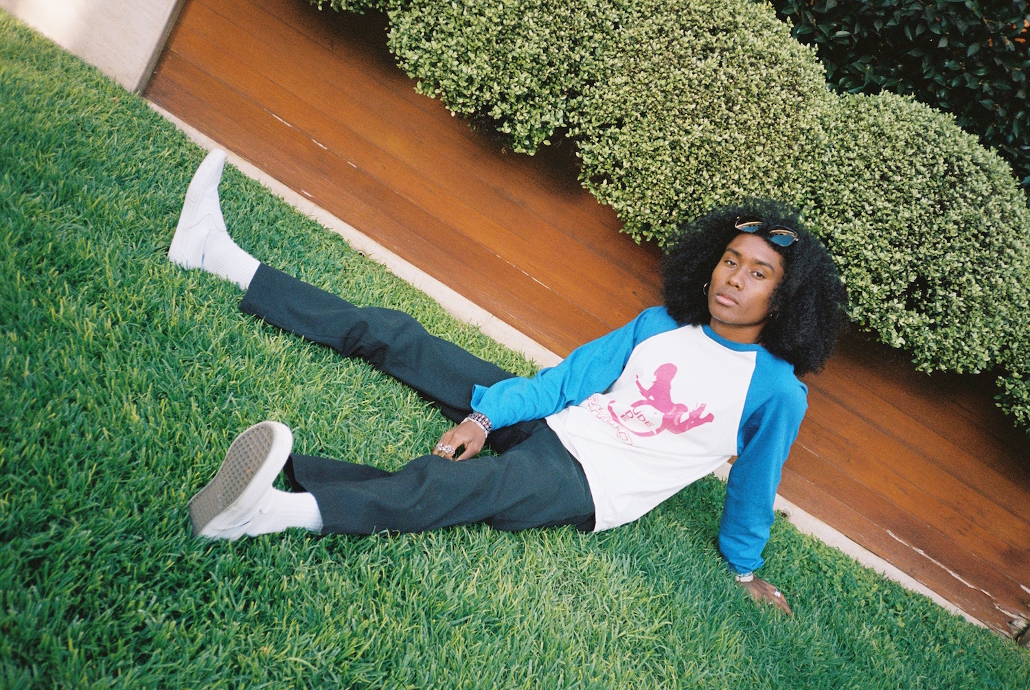 Jelani Aryeh