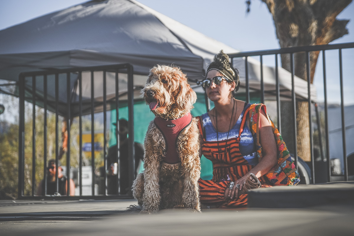 Jennylees Dog Desert Daze Festival Institute Of Mentalphysics Joshua Tree 10 16 16 Erika Reinsel 05