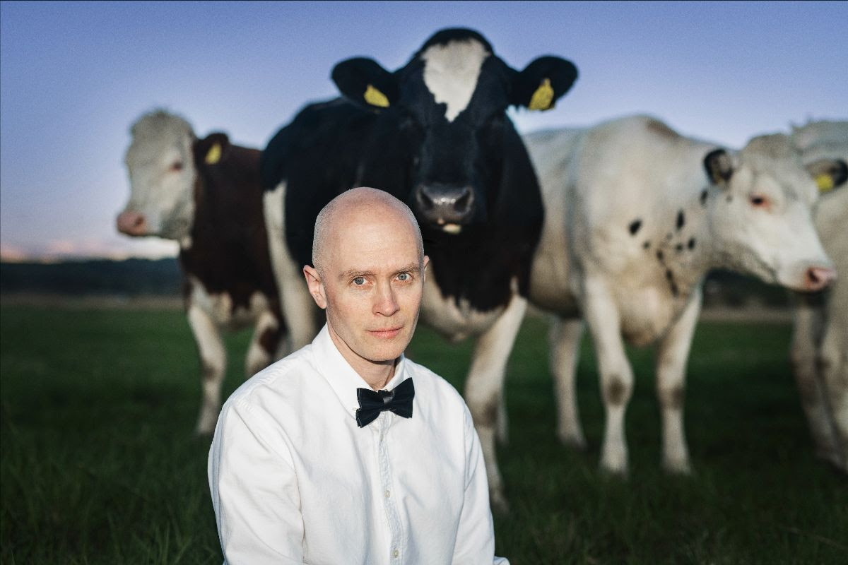 Jens Lekman Weddings