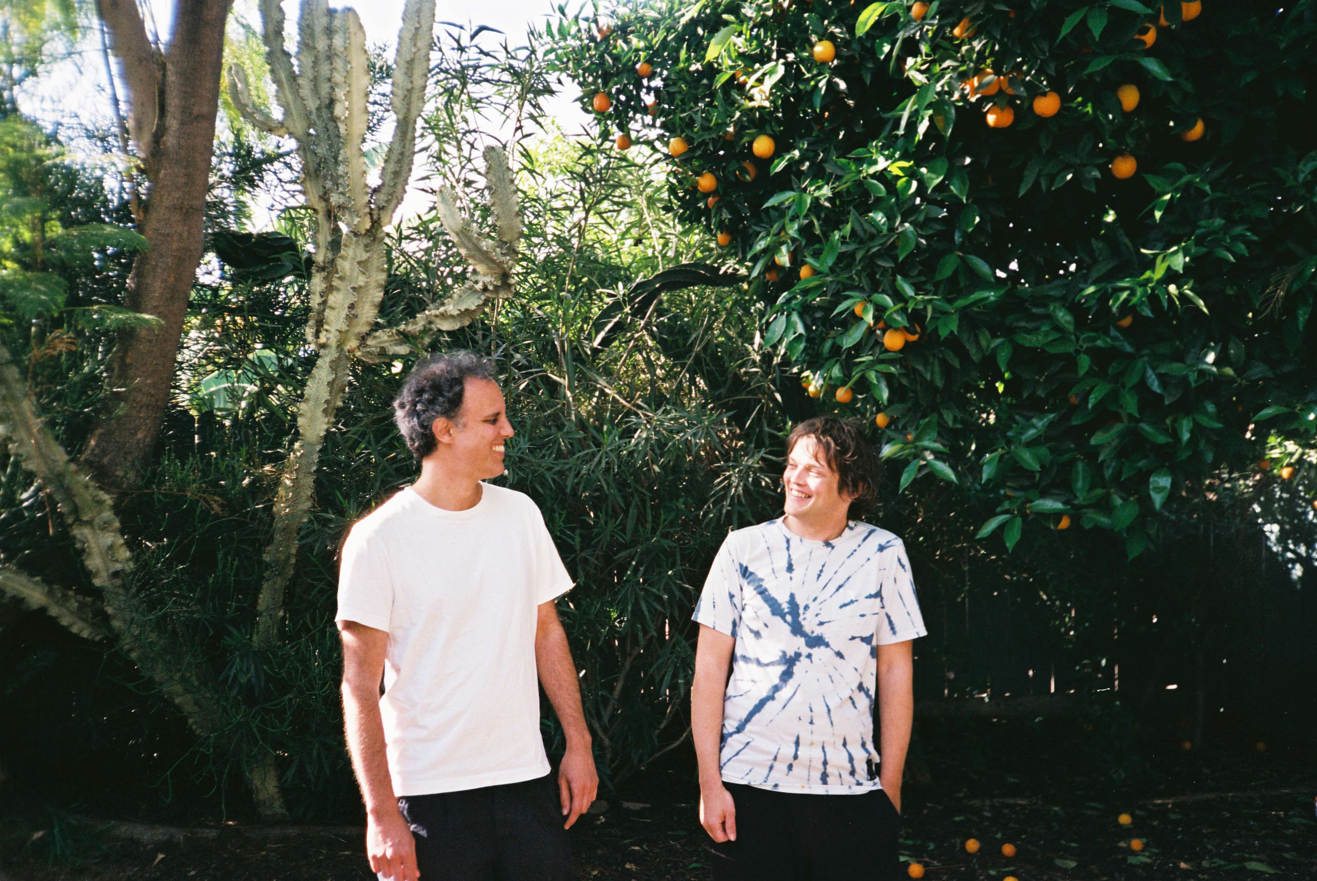 Kieran Hebden and William Tyler spider ballad