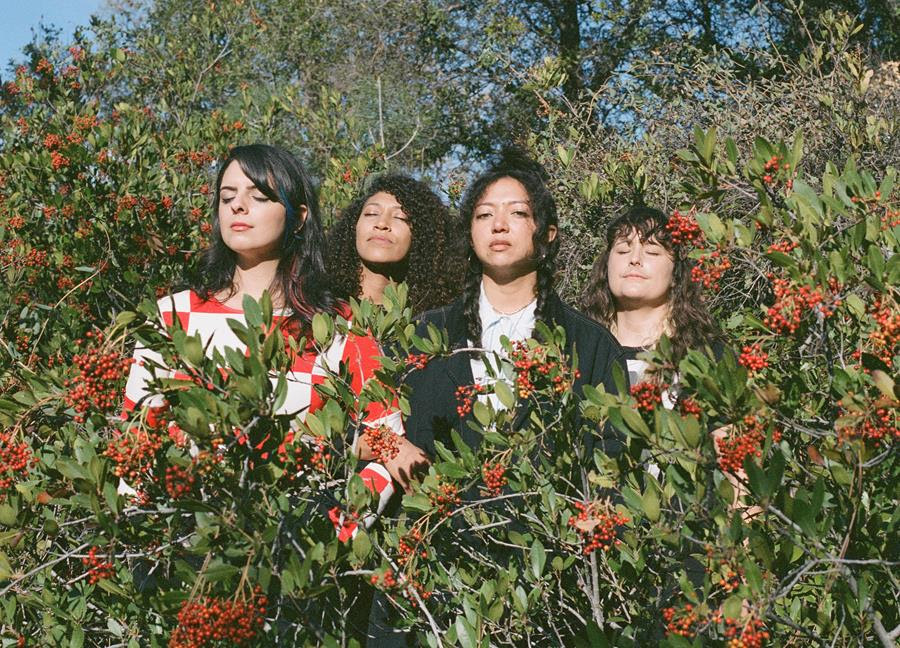 La Luz Poppies