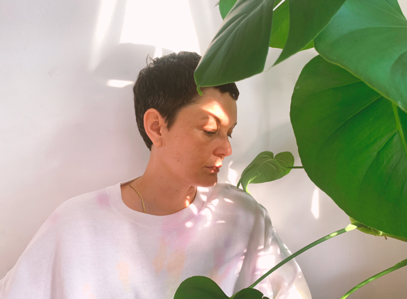 Land of Talk monstera 2023