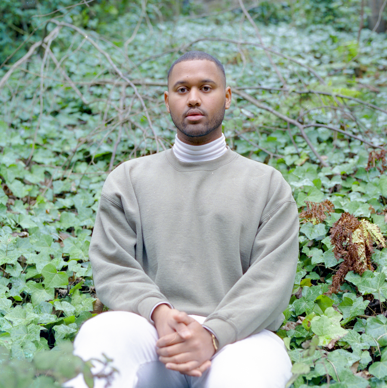 Latir Wallflower main