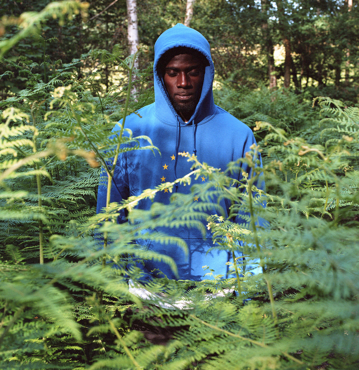 Lil Silva online 2