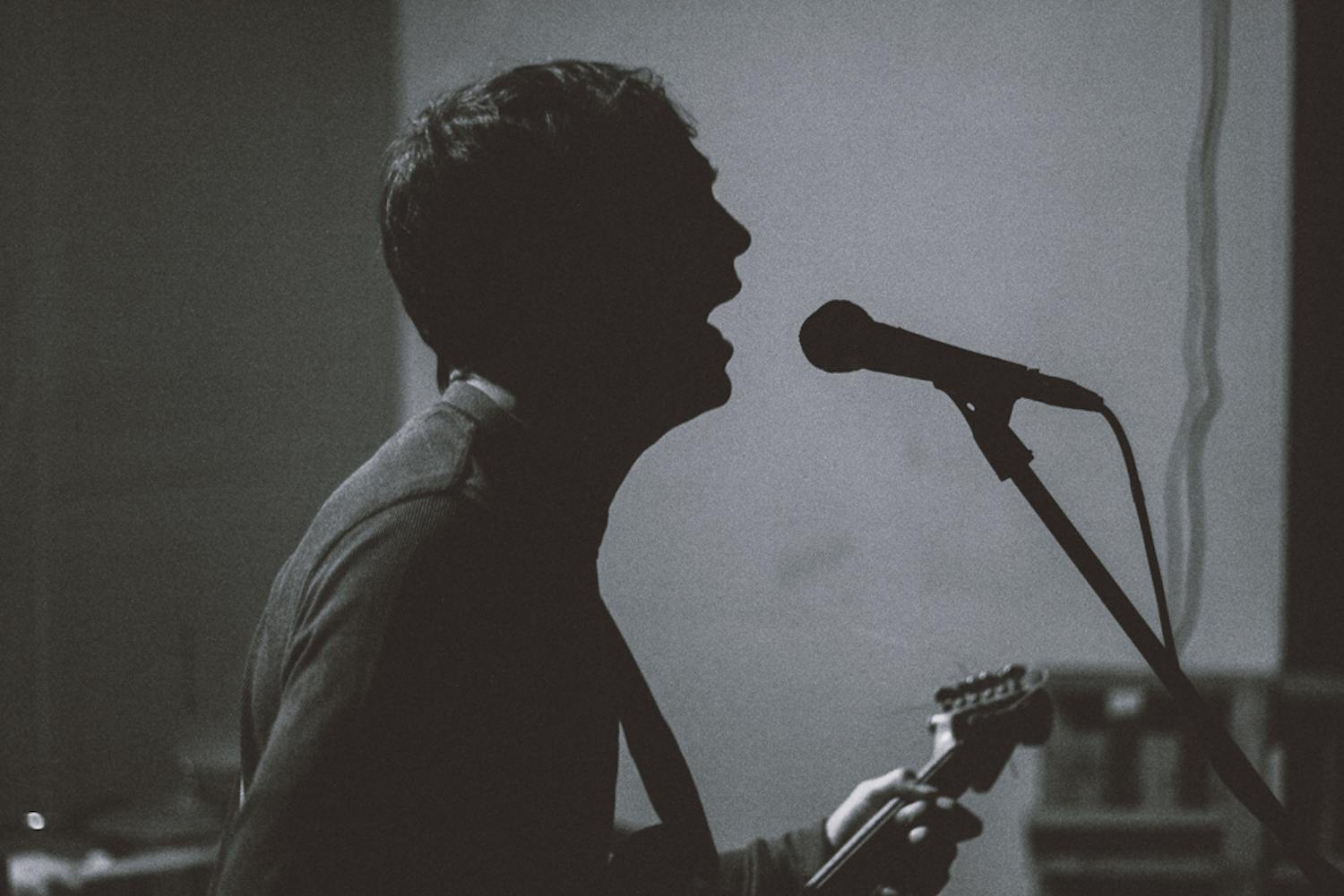 Live Frog 1 Andrew Piccone Credit