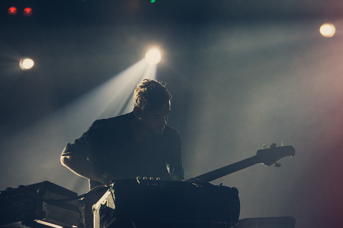 MG 9922 Edit Bonobo