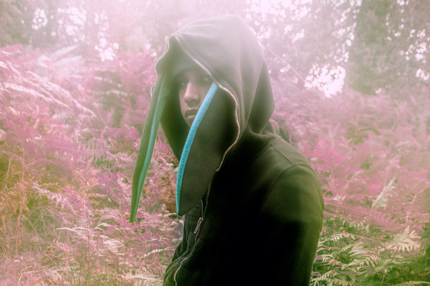 MISOGI PRESS SHOT 1 WIDECROP