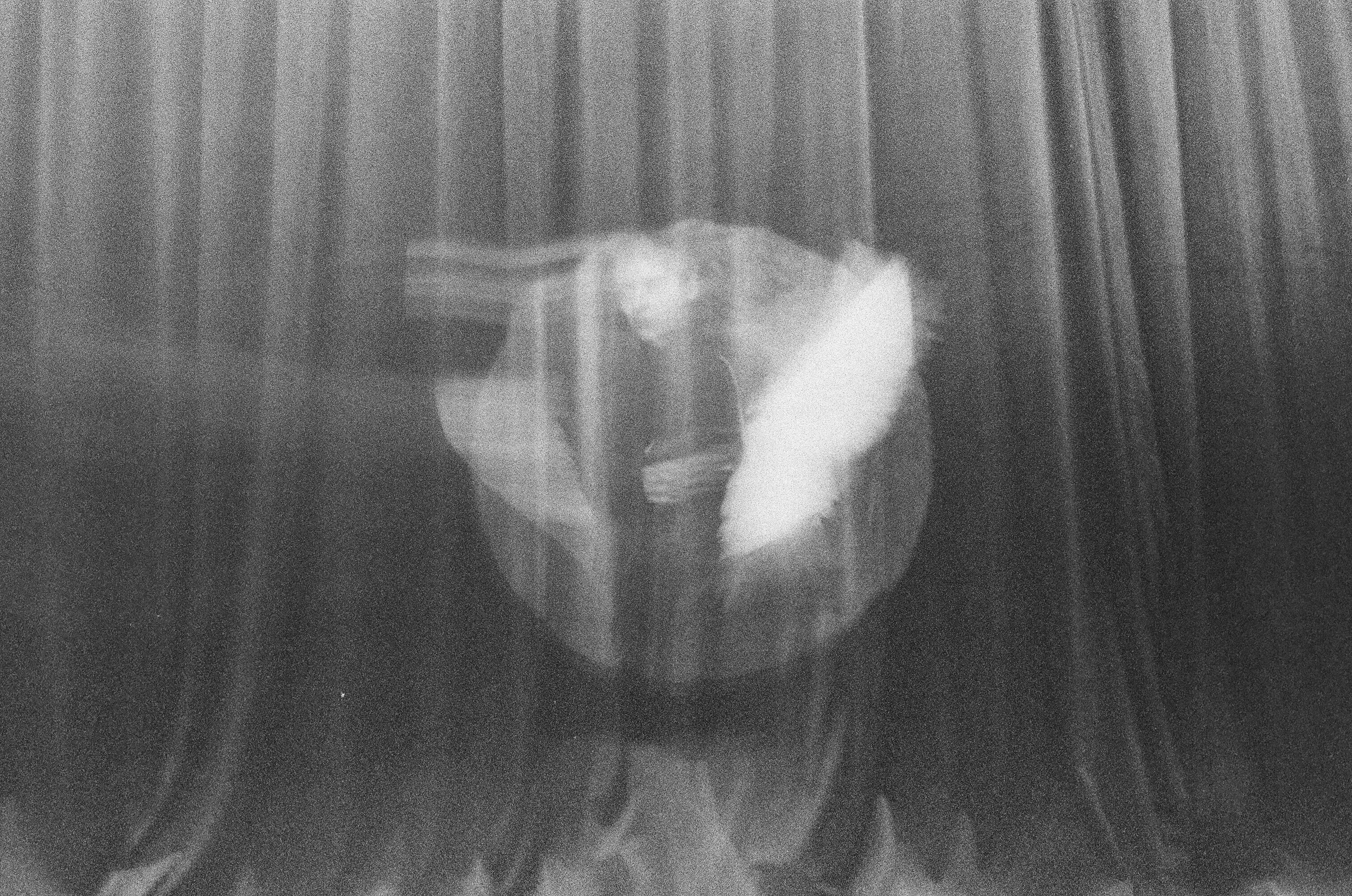 Mad Honey share new single “Moshfeghian” from their upcoming second album