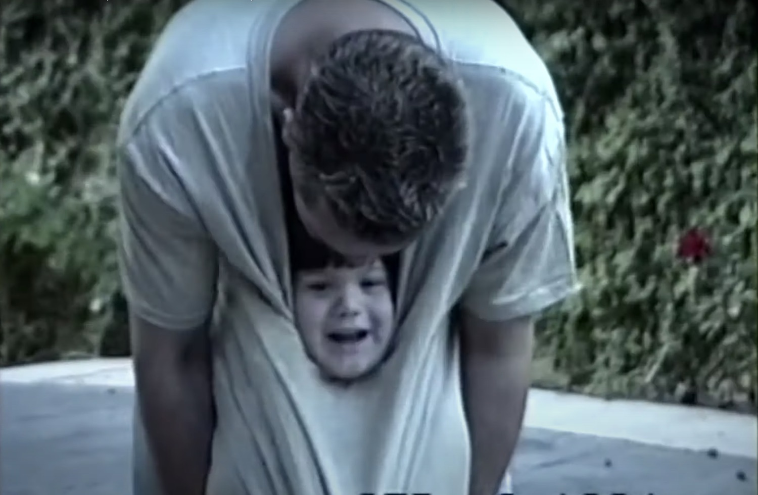 Mammoth WVH distance video