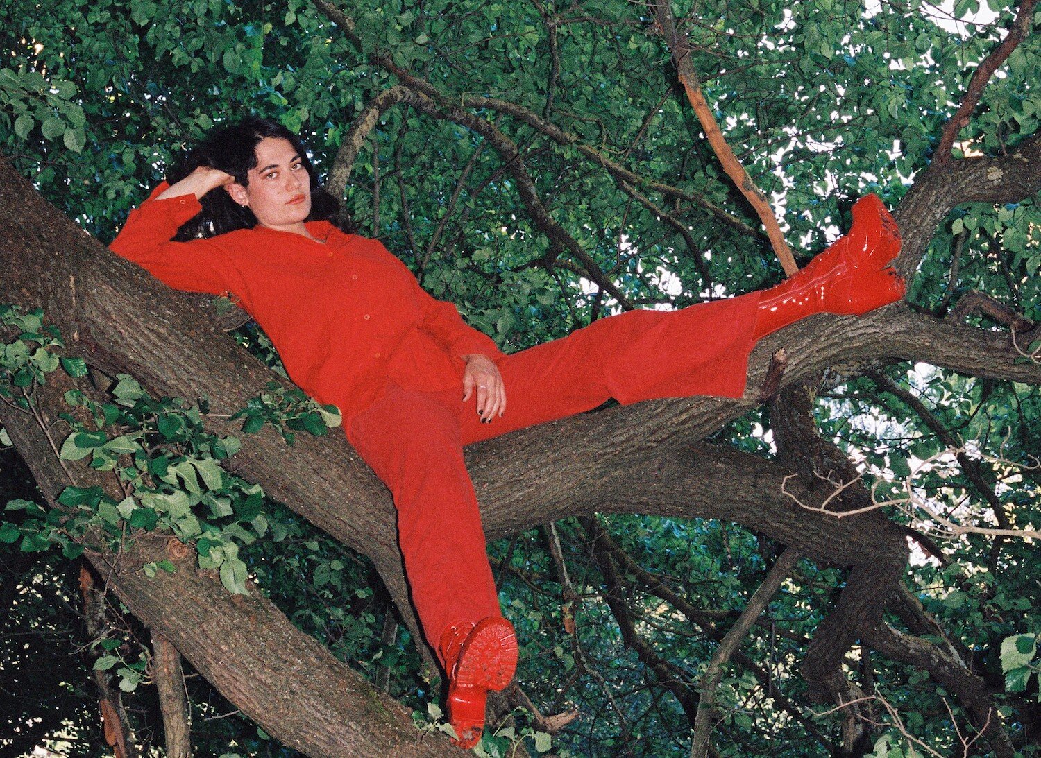 Maple Glider Photo Credit Bridgette Winten