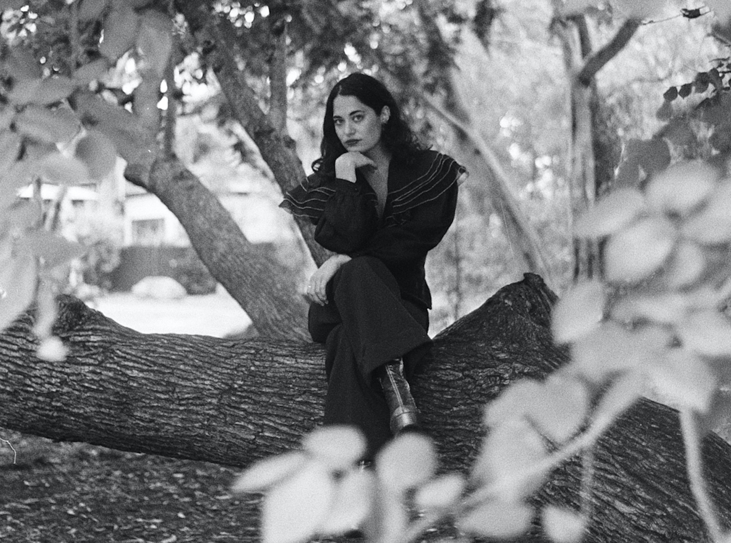 Maple Glider Baby Tiger announce photo by Bridgette Winten