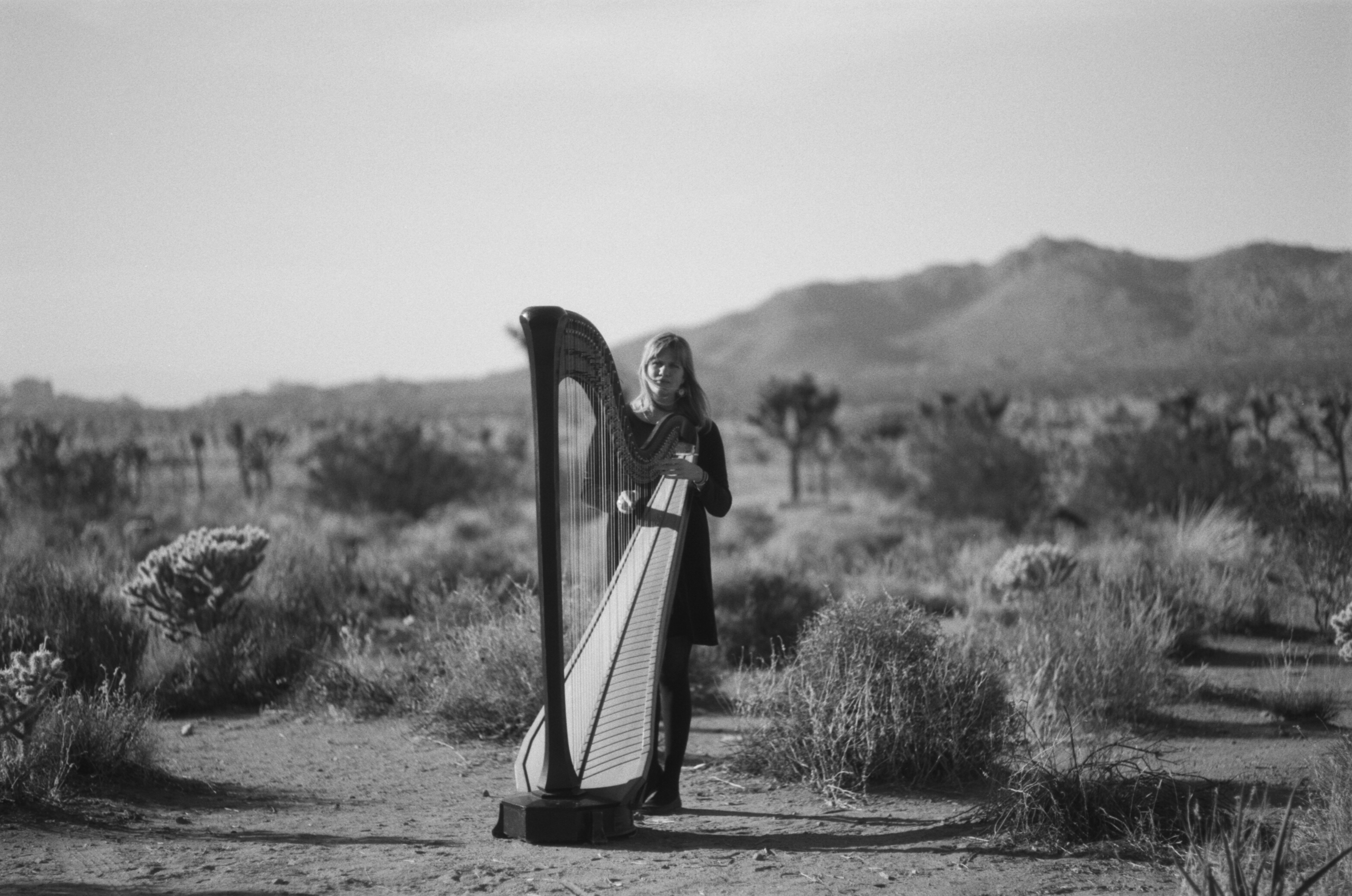 Mary Lattimore Press 1 Photo Credit Rachael Pony Cassells