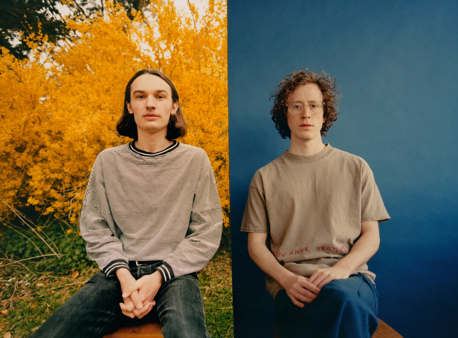 Meadow Meadow Hollie Fernando FINAL 1