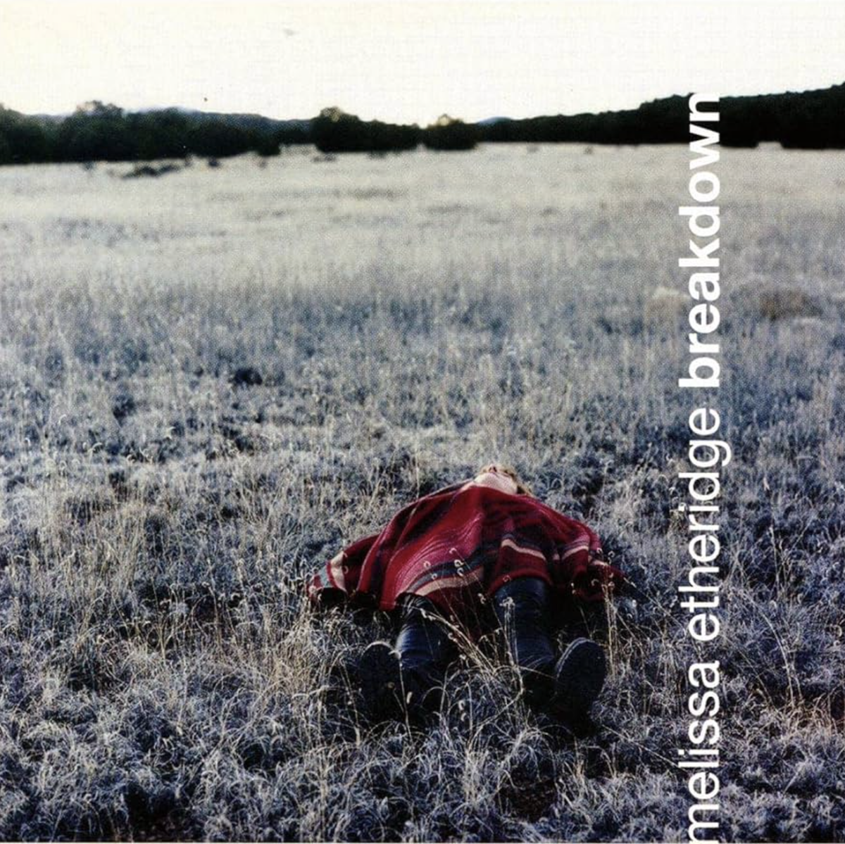 Melissa Etheridge Breakdown
