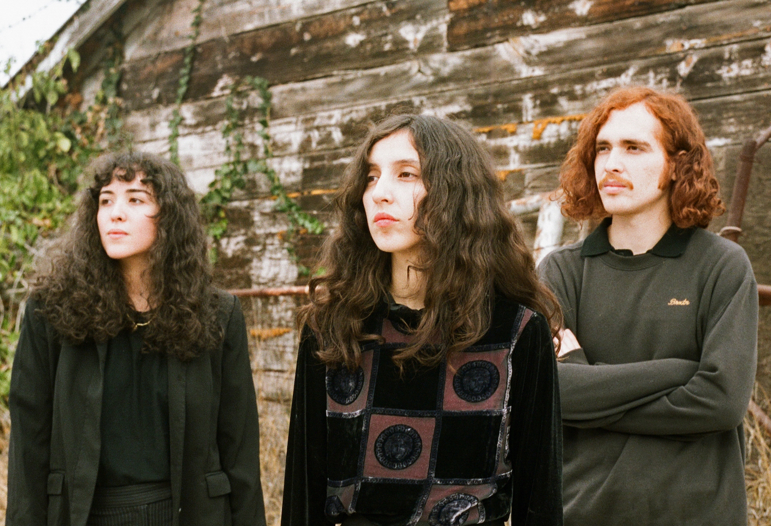 Mint Field by Adriana Tangassi 1 copy 3