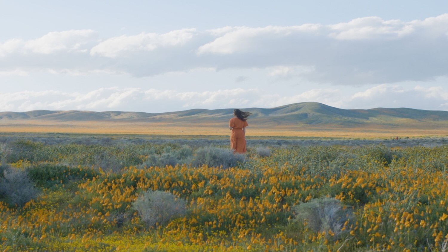 Molly Sarle Twisted video1