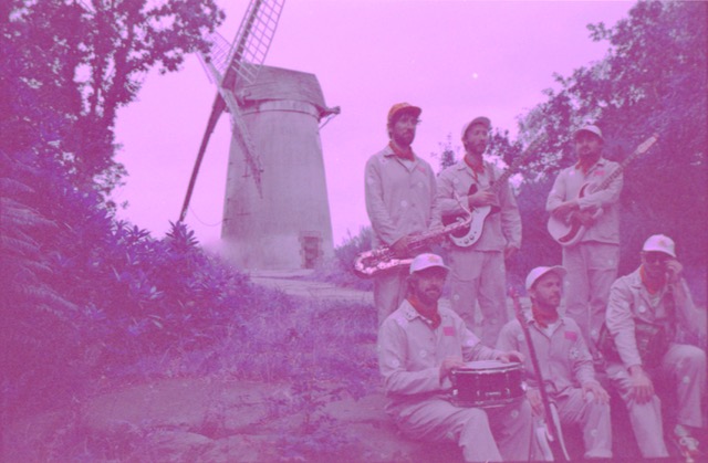 Moth After Dark Press Pic