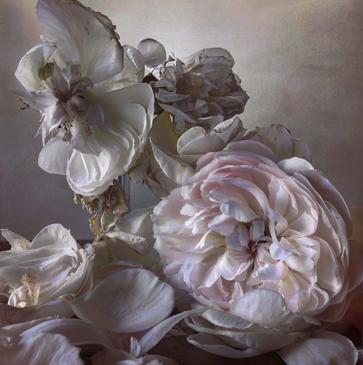 Nick Knight Saturday 8th August 2015