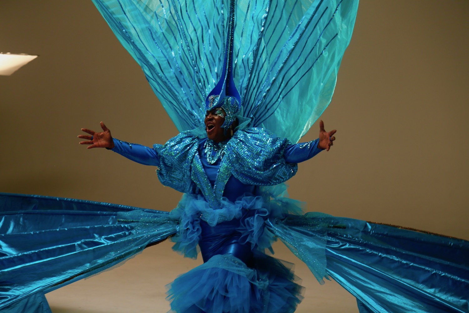 Notting Hill Carnival 2020 Access All Areas