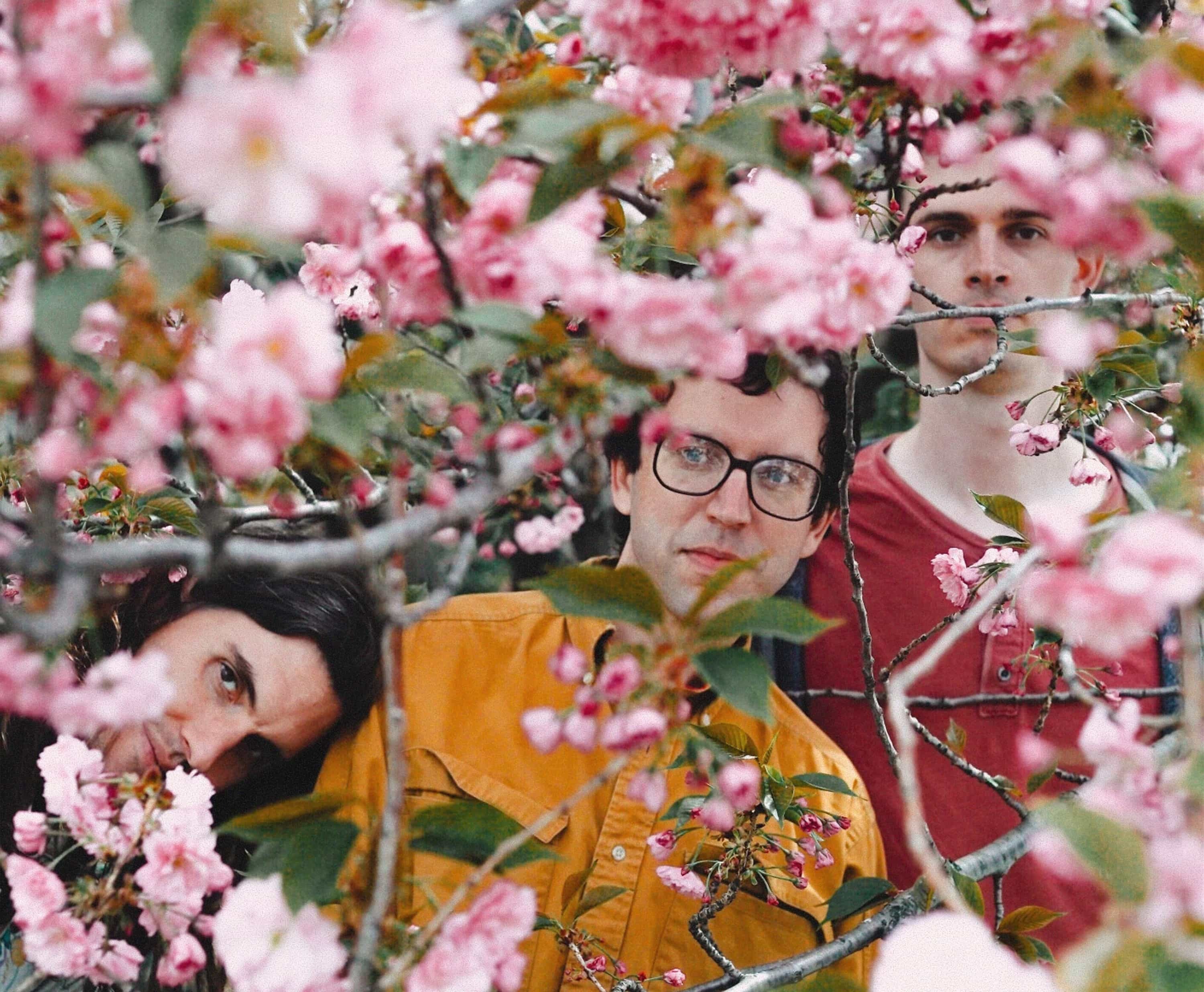 Ohtis flowers andrew remdenok