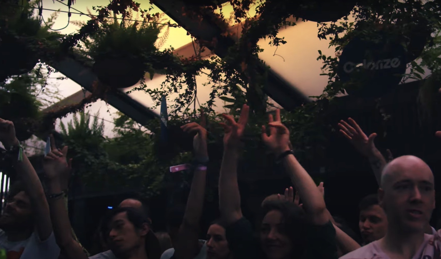 Oval Space Colorize youtube