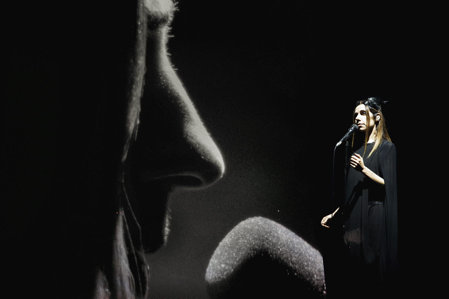 PJ Harvey Rock en Seine Paris 26 08 17 Chris Almeida