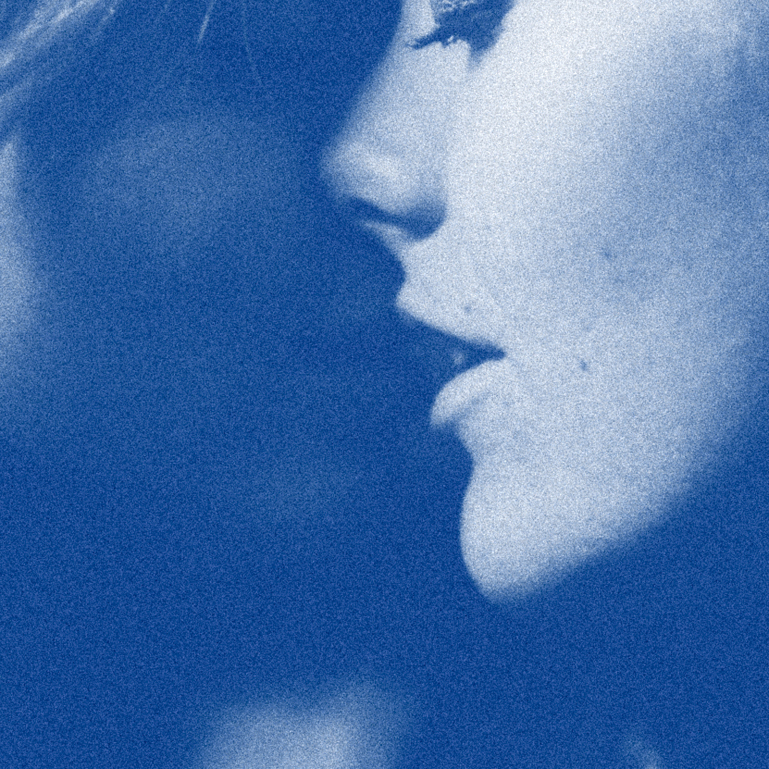 POLLYMONEY ITD ARTWORK V2