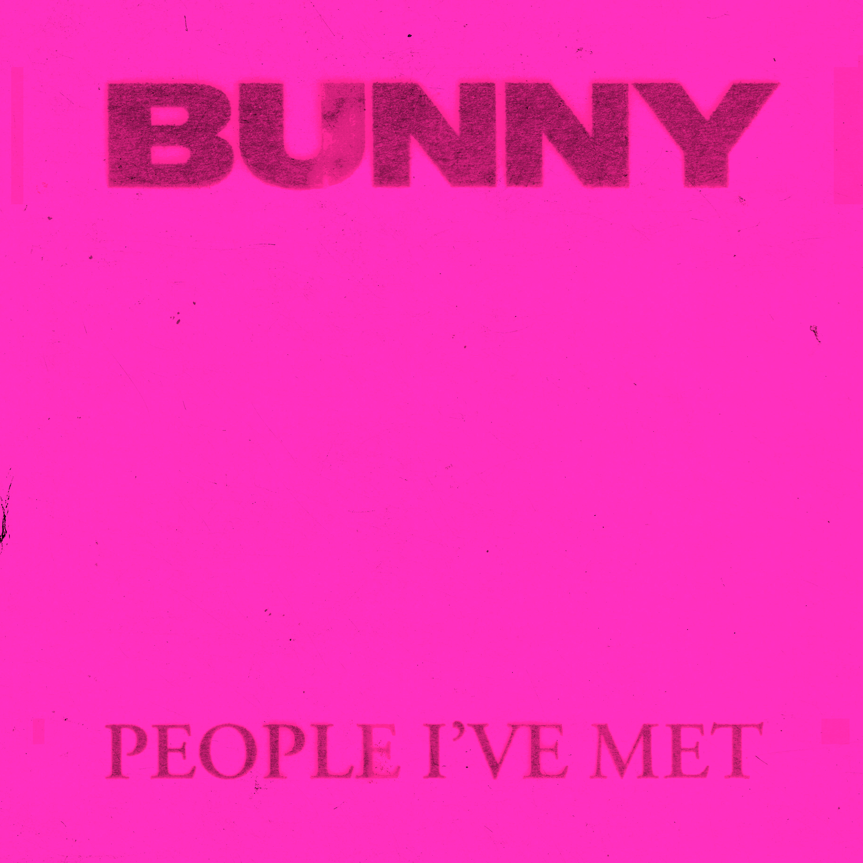 People Ive Met BUNNY Finished Artwork