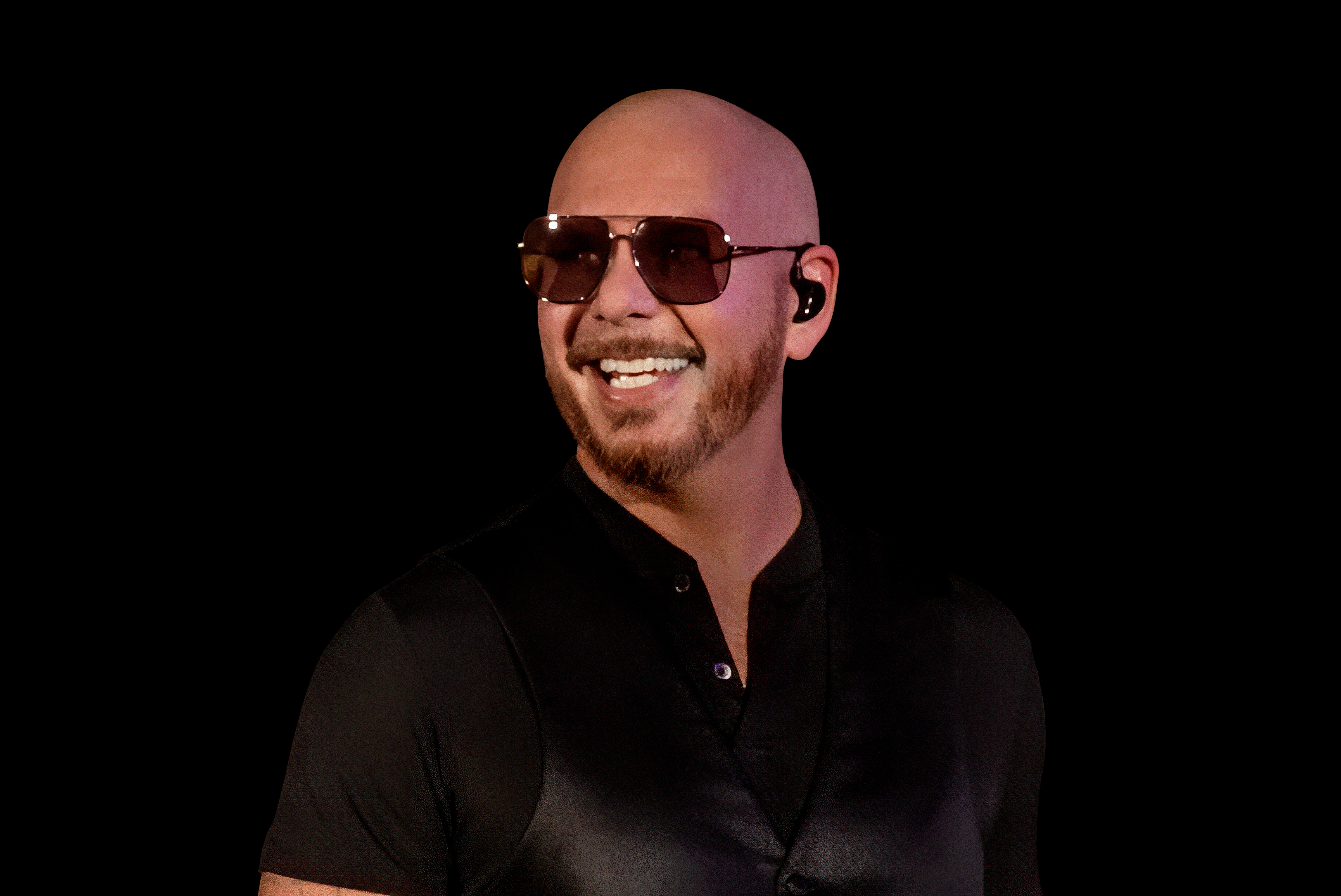 Pitbull Black