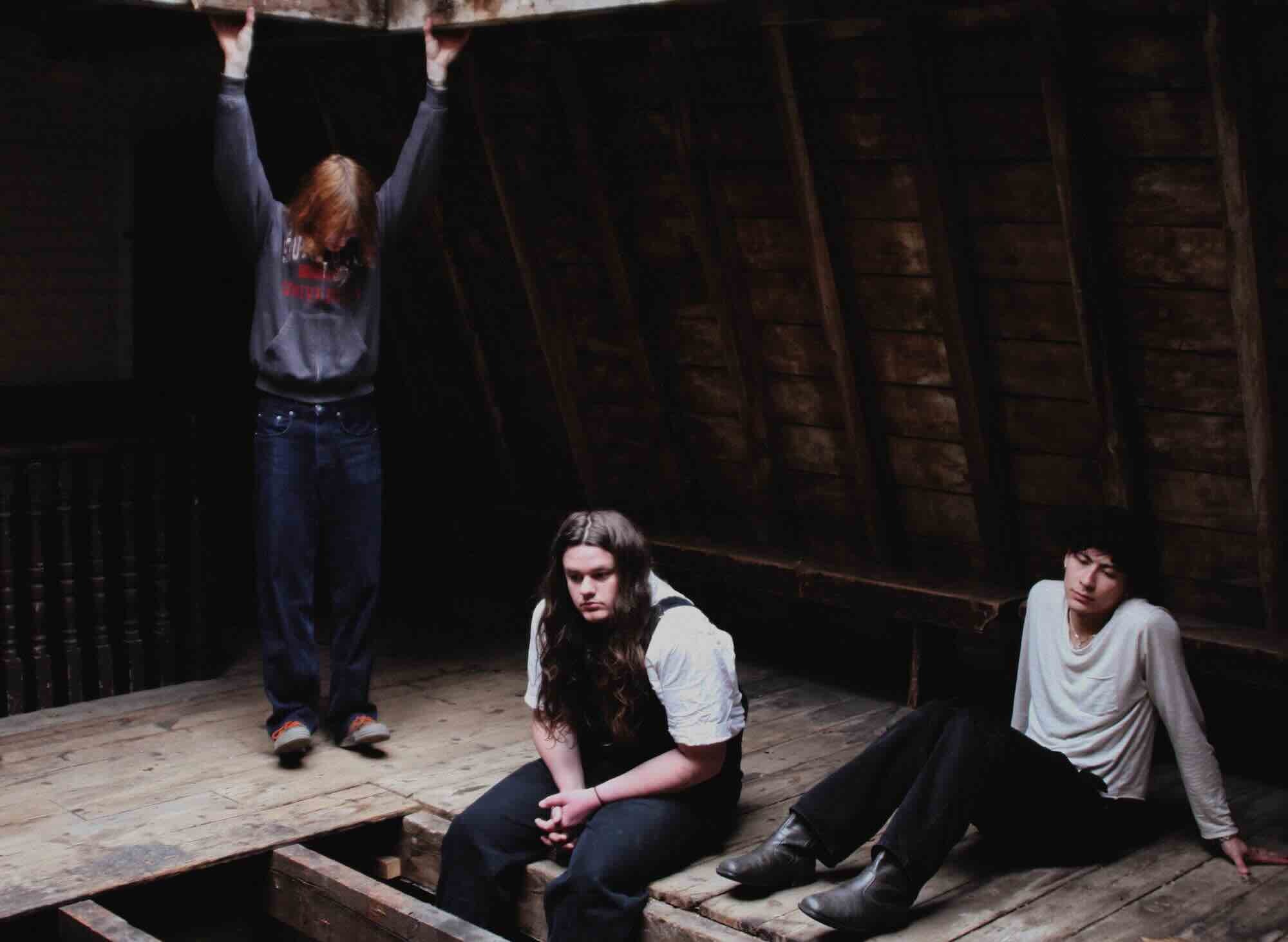 Press Shot Landscape Low Res thistle c Caitlin Barrel