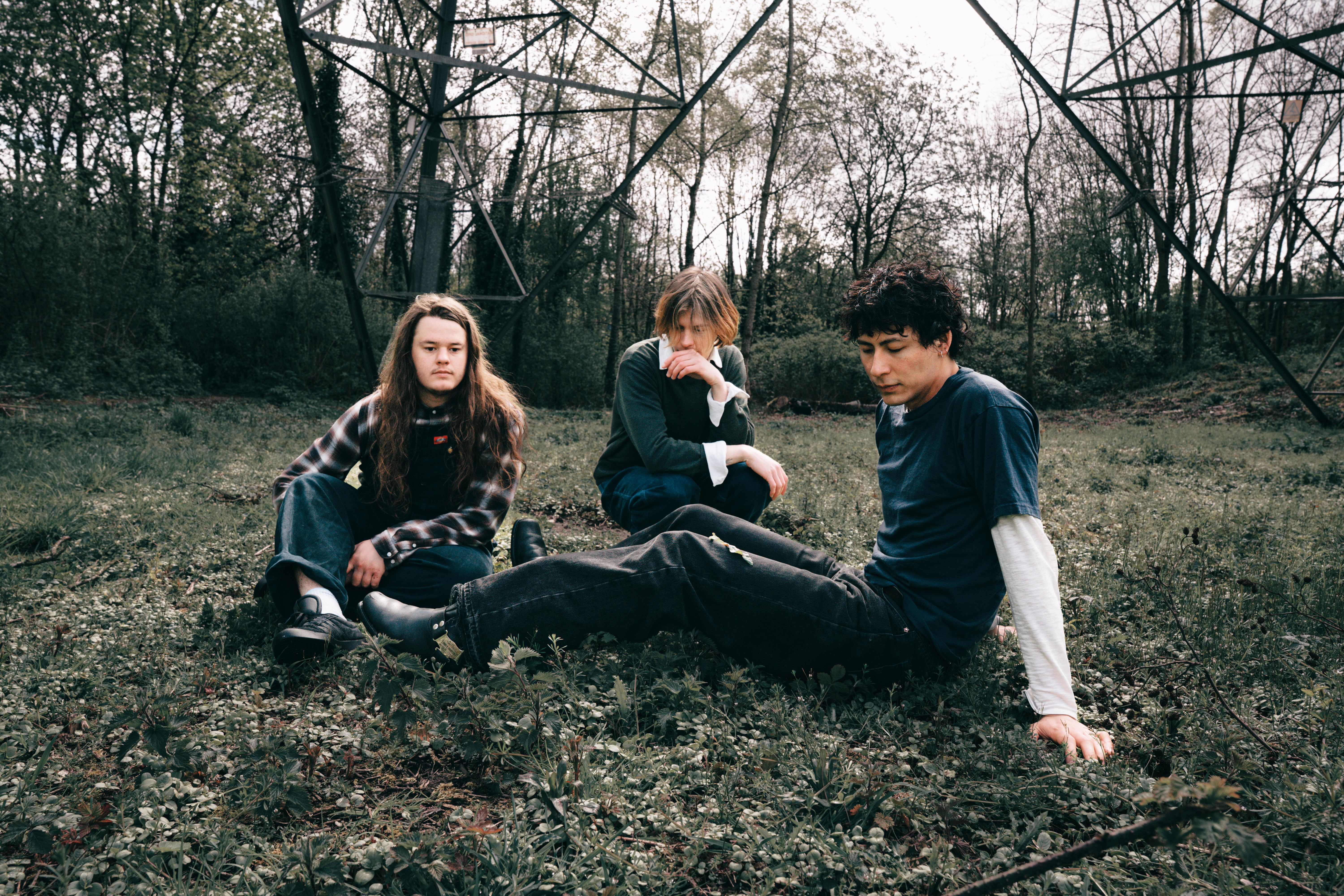 Press Shot Landscape thistle c Gracie Hall