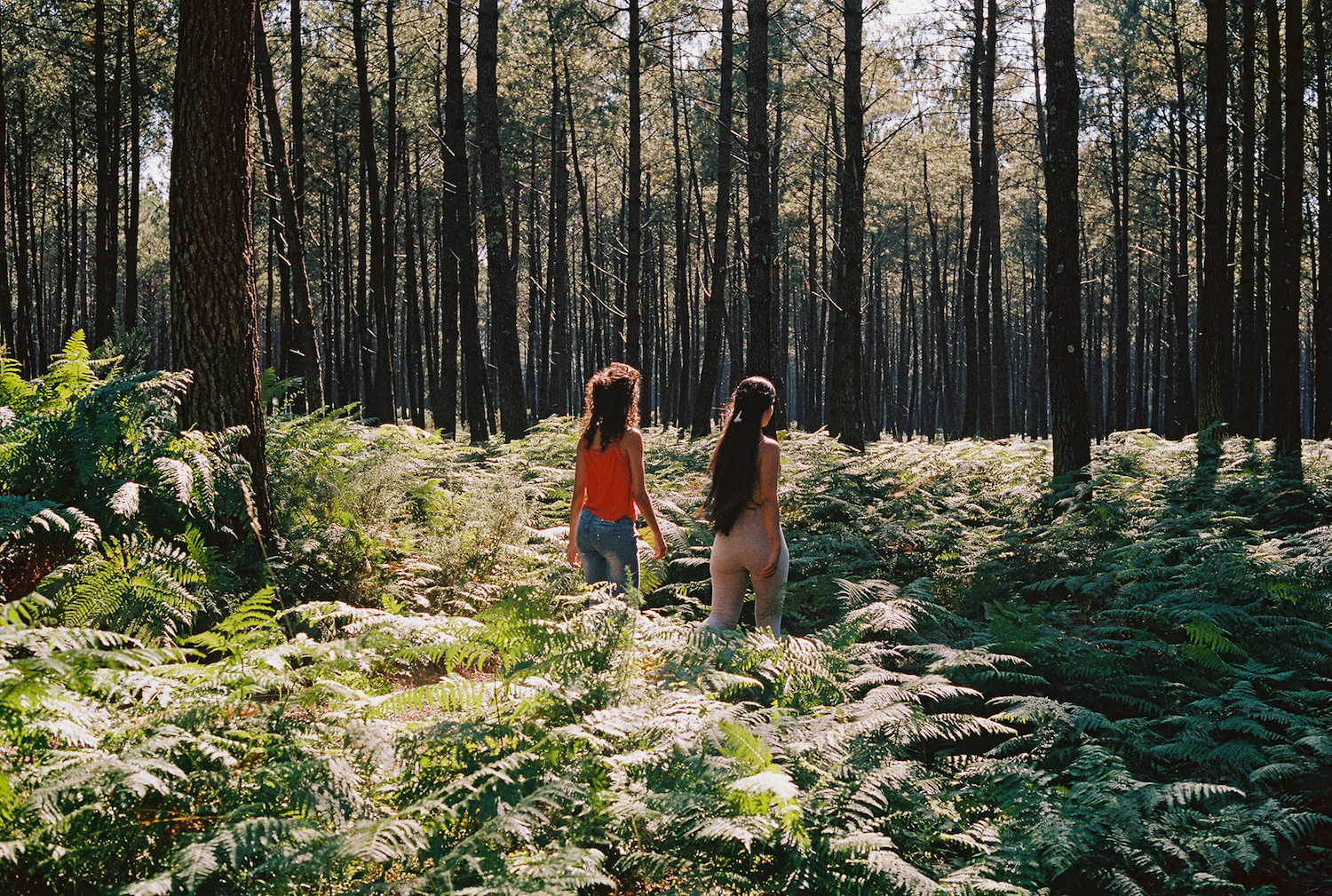 QUEENS15 Nicolas Poillot