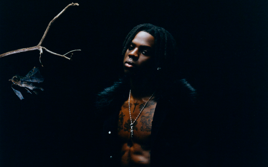 Rema Surprise Album