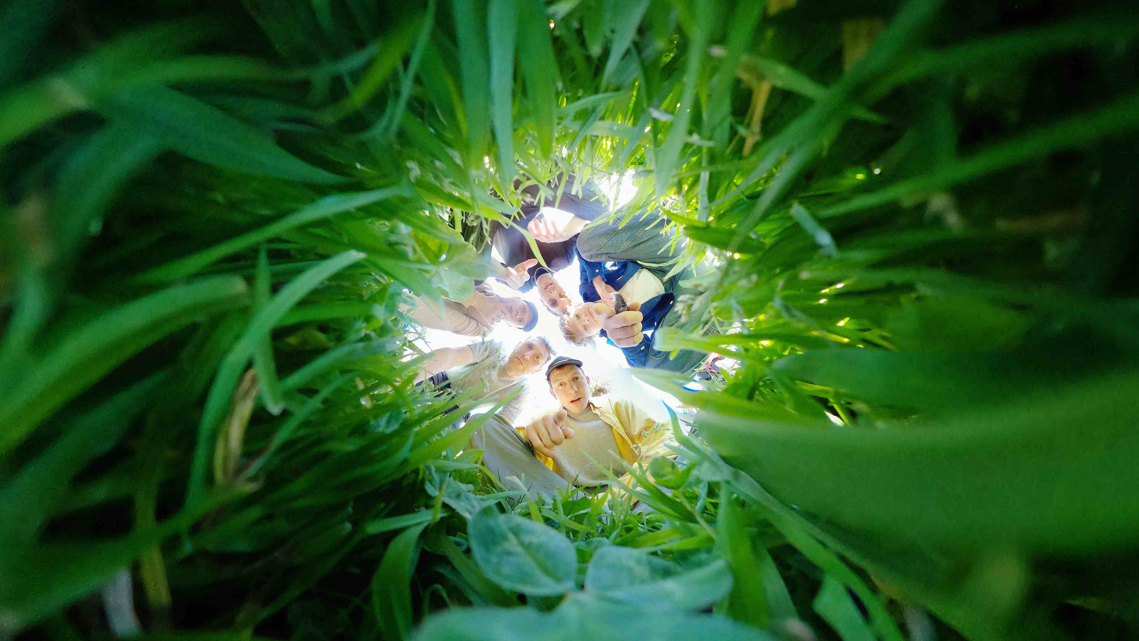 SQUID third album by Harrison Fishman 2024 5