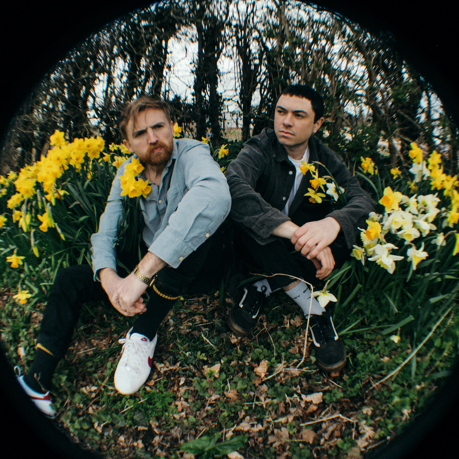 SUNS UP Landscape no credit 1