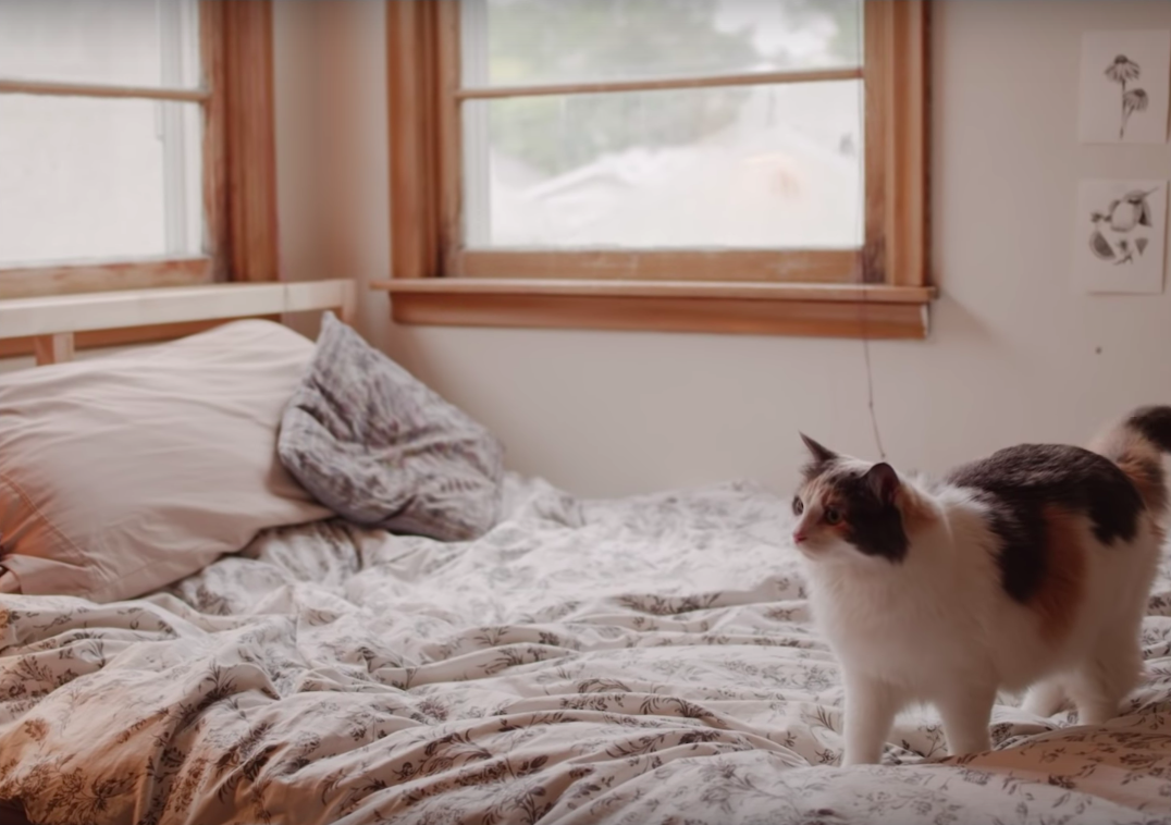 Screenshot 2019 03 04 at 23 02 08