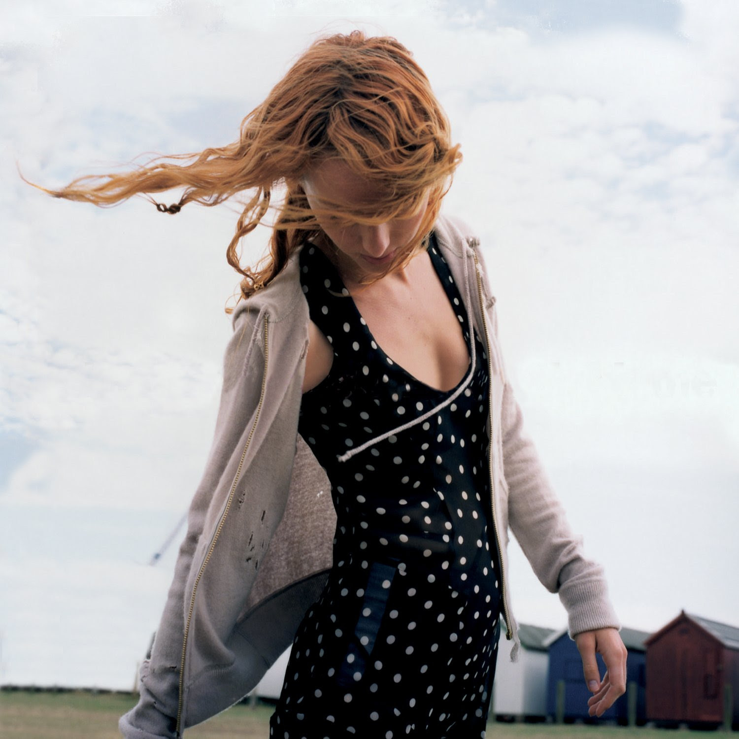 Siobhan Donaghy reissue