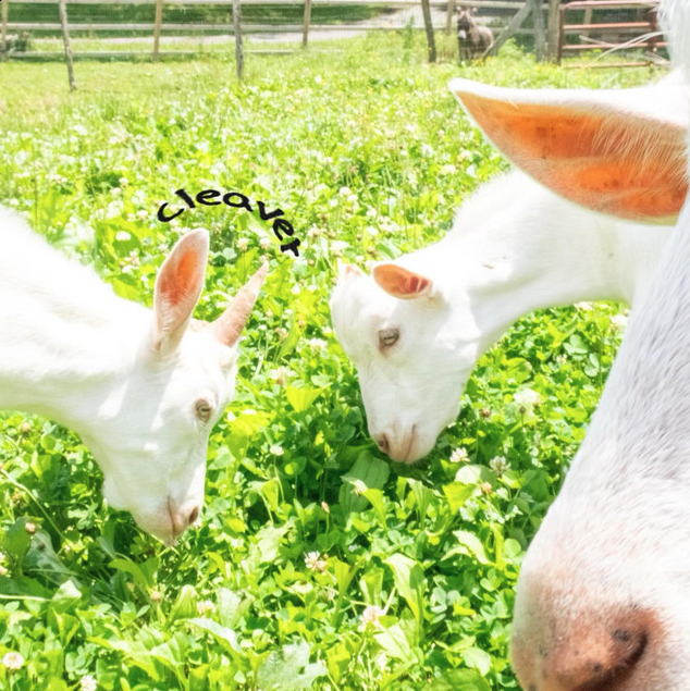 Computer Science Cleaver cover