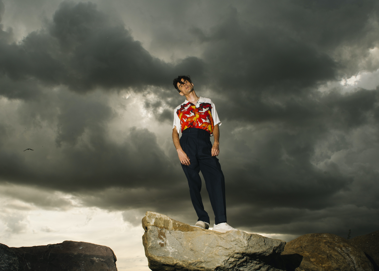 Stats fire shirt and bird landscape press