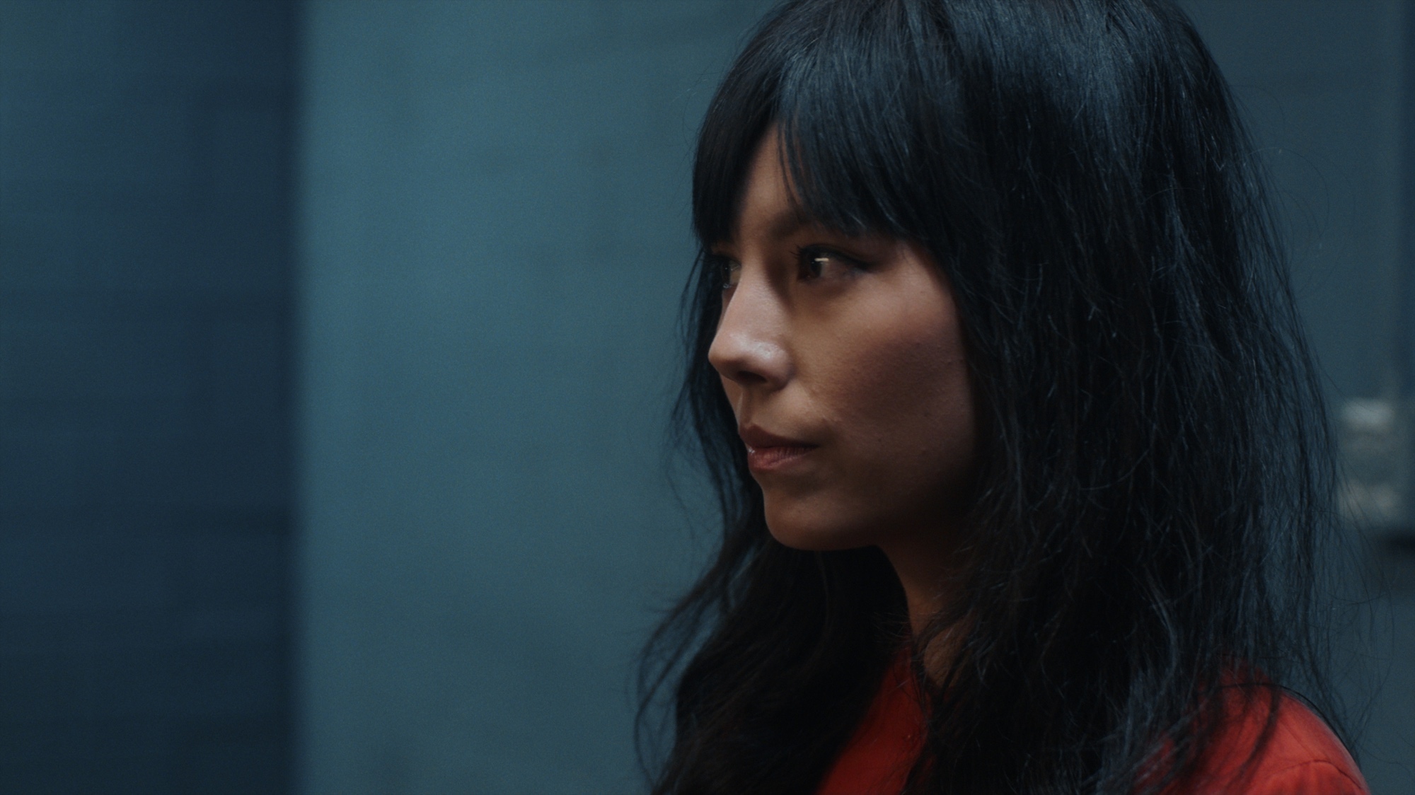 Steady Holiday October 2018