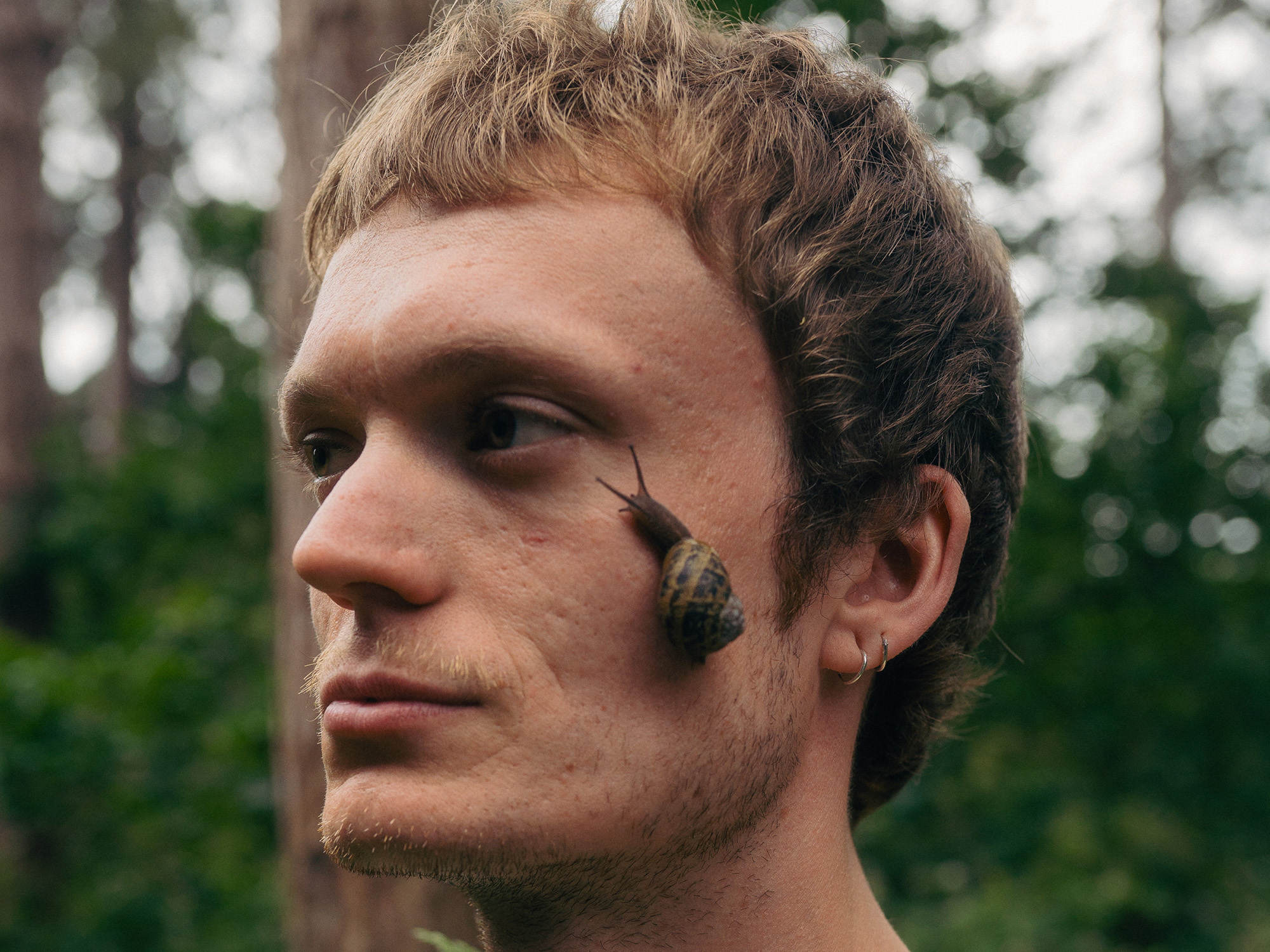 T Evann Fill The Void