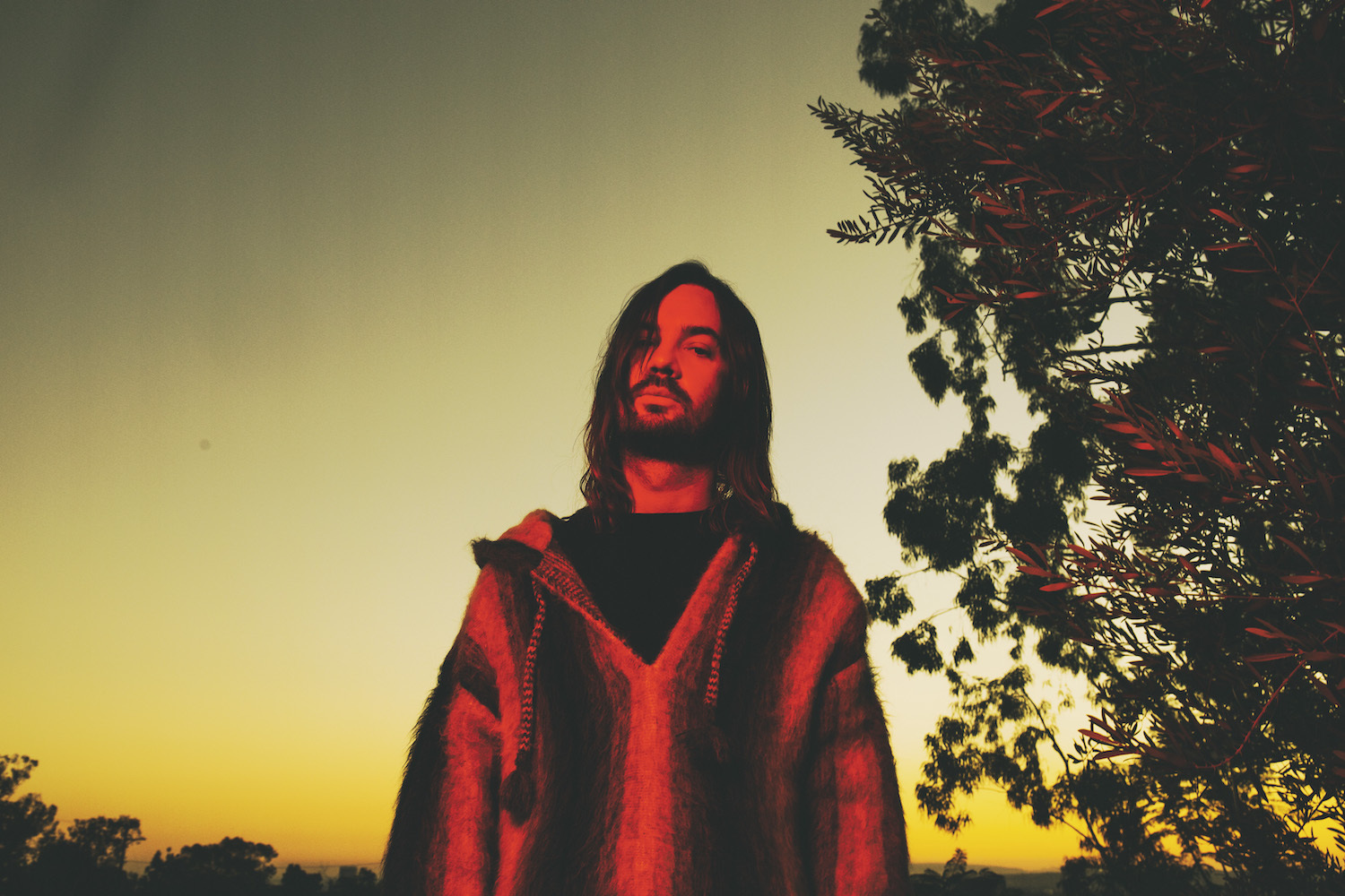 TAMEIMPALA PRESS PIC by DANATRIPPE