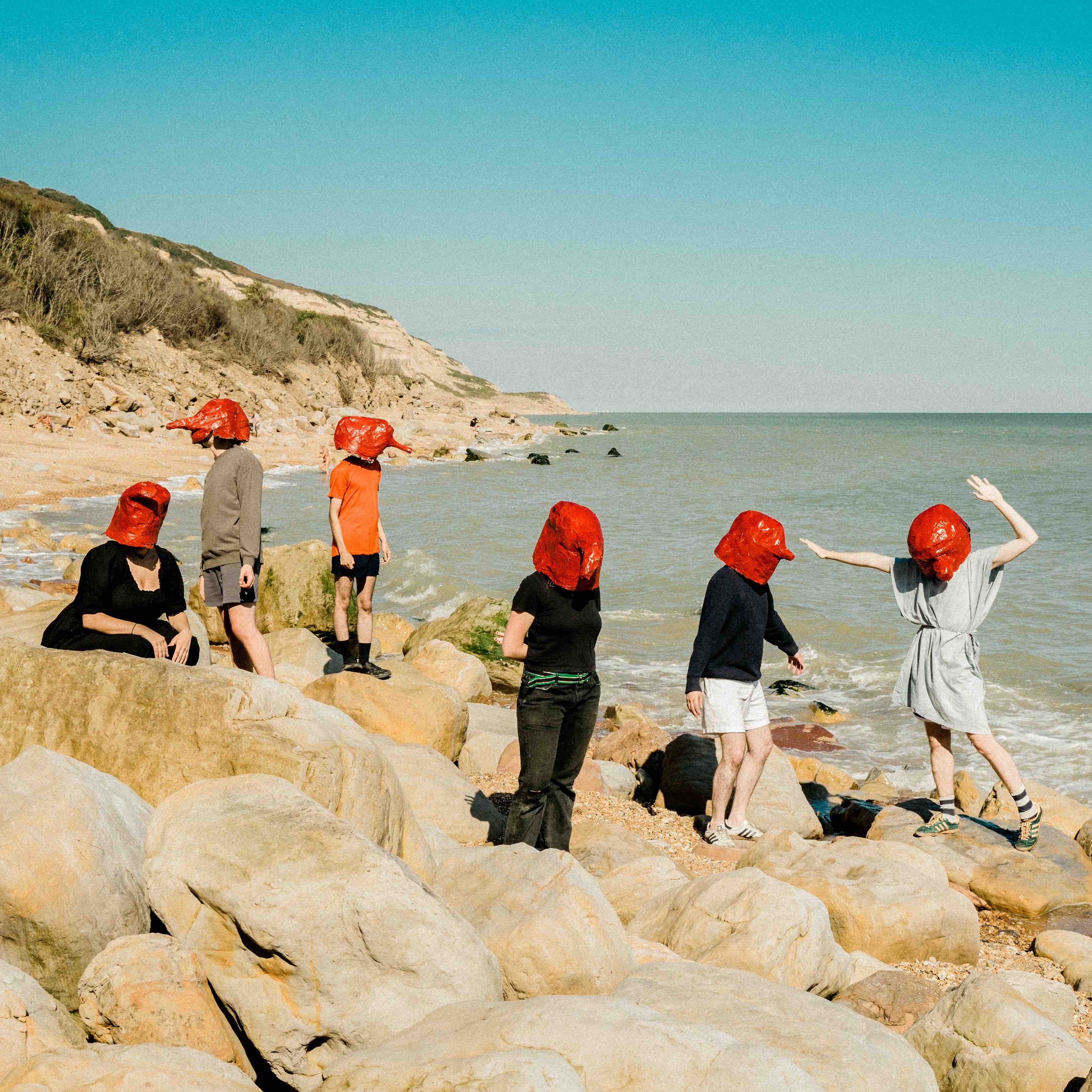 Tapir beach hoods 2023