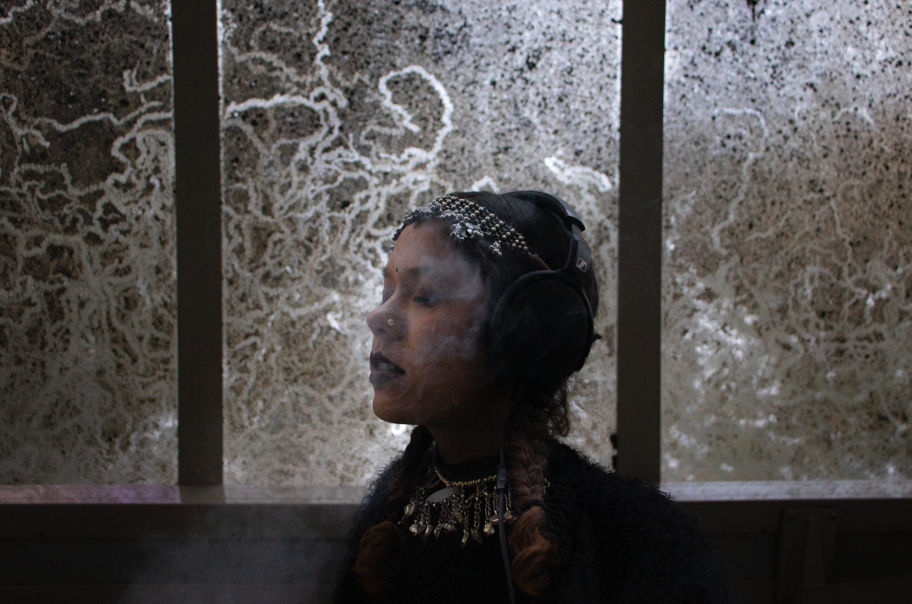 Tara Lily Quiet Nights