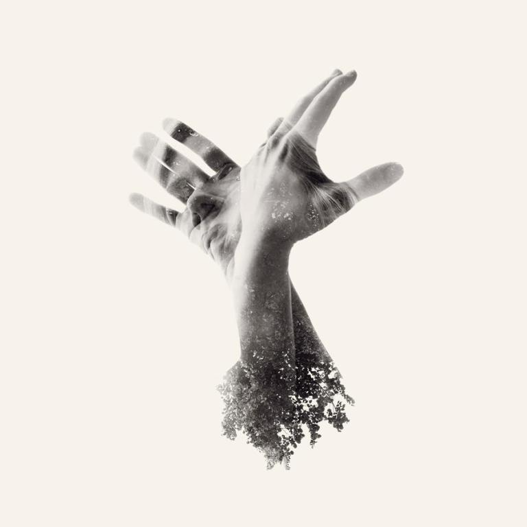The Last Dinosaur The Nothing cover